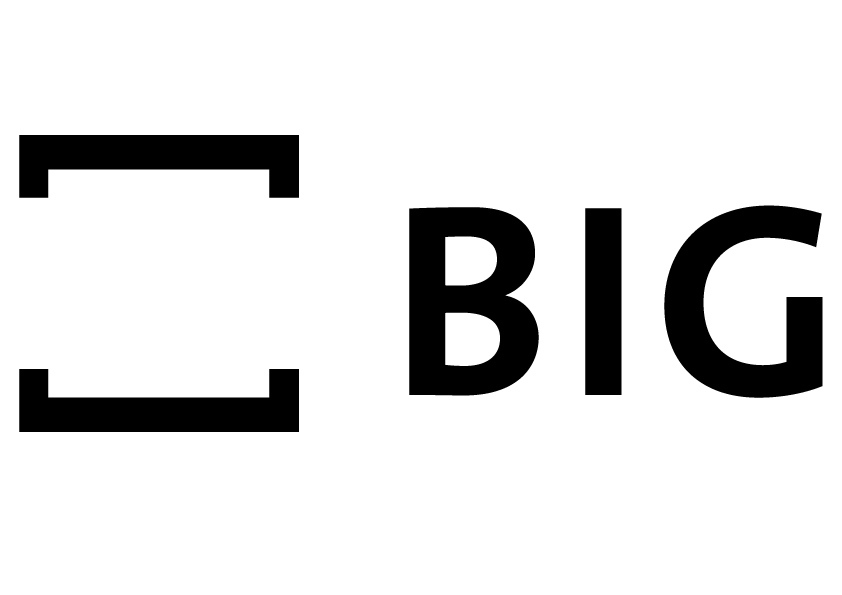 BIG Logo BIG Logo